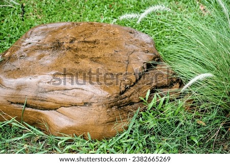 a rock in the grass.