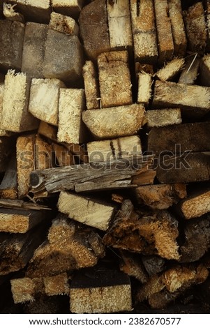 Part of a wood pile with cut needle wood. Wood industry.