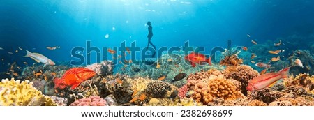 Underwater Tropical Corals Reef with colorful sea fish and freediver. Marine life sea world. Tropical colourful underwater panormatic seascape. Royalty-Free Stock Photo #2382698699