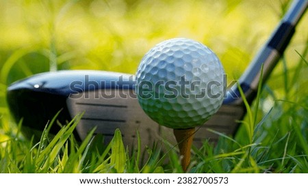 Golf club and golf ball close up in grass field with sunset. Golf ball close up in golf coures at Thailand.                                