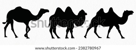 Silhouette set of Desert Camel with humps standing, running and walking.
