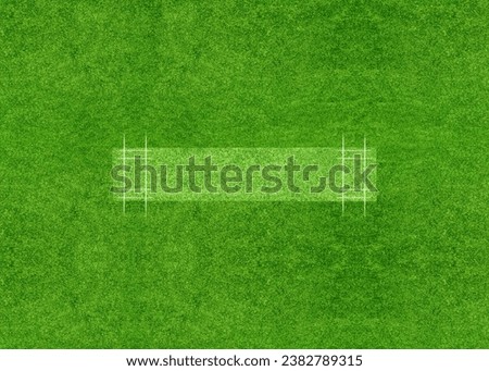 A cricket pitch direct top view of the layout with the grass cricket field Royalty-Free Stock Photo #2382789315