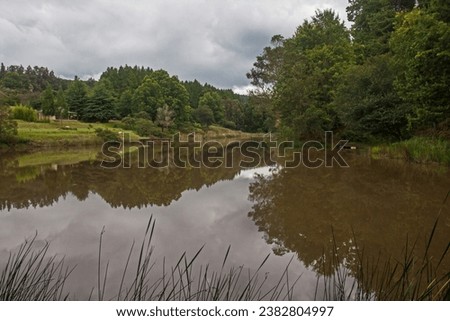 Trees and clouds reflecting on a peaceful trout dam near Haenertsburg, Limpopo Province, South Africa