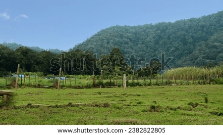 mountains, natural beauty of mountains and green grass in nature,  Ciwidey Bandung - indonesia