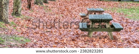Dry leaves also act as natural moisture retainers and soil fixers, thereby preventing loose soil from being carried away and controlling soil degradation and relaxing emotion. Royalty-Free Stock Photo #2382823281