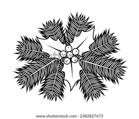 vector christmas holly and twigs isolated on white background