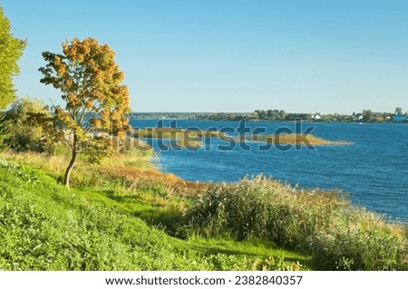 summer landscape, in the photo there is a river bank against a background of blue sky and trees.