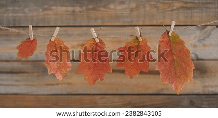 Homemade garland of colored autumn leaves. Dry leaves hanging on rope with clothespins on wooden wall background. Home diy decor for celebrating fall holidays, Thanksgiving and Halloween banner