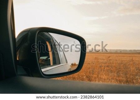 Autumn view from the side mirror of a car.