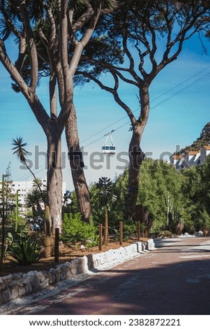 Shot of a cable car framed by two trees in the Gibraltar botanic gardens