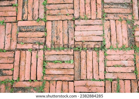 Pattern of old orange brick floor with green plant, top view