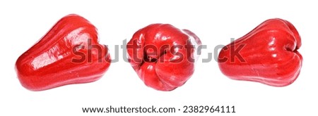 Red water apple fruit isolated with clipping path no shadow in white background, healthy tropical fruit