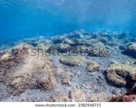 Underwater pictures, diving pictures, blue ocean snorkel Royalty-Free Stock Photo #2382968715