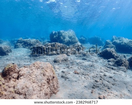 Underwater pictures, diving pictures, blue ocean snorkel Royalty-Free Stock Photo #2382968717
