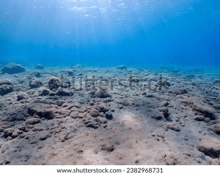 Underwater pictures, diving pictures, blue ocean snorkel Royalty-Free Stock Photo #2382968731