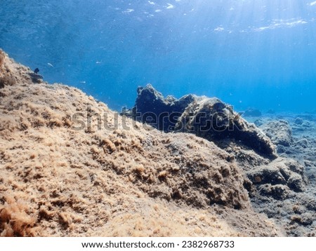 Underwater pictures, diving pictures, blue ocean snorkel Royalty-Free Stock Photo #2382968733