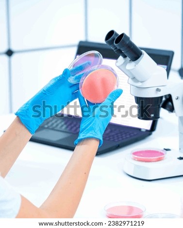 Forensic analysis: Petri dishes can be used in forensic analysis for the collection and analysis of biological samples at crime scenes The dishes help preserve and cultivate microorganisms p Royalty-Free Stock Photo #2382971219