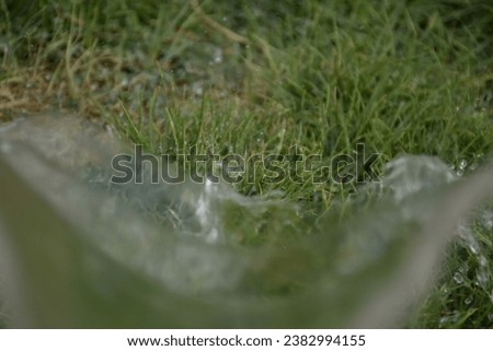 A picture of a person watering the grass