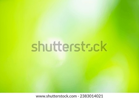 abstract green gradient color background with blank smooth and blurred multicolored style for website banner and paper card decorative graphic design.