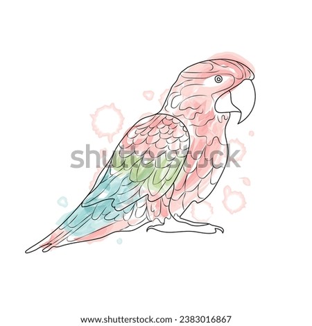 Parrot black stroke and colorful watercolor line and splashes on white background. 