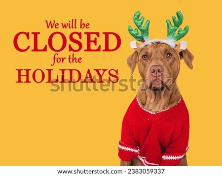 Signboard with the inscription We will be closed for the Holidays. Cute  dog and red knitted sweater. Closeup, indoors. Studio shot. Pets care concept