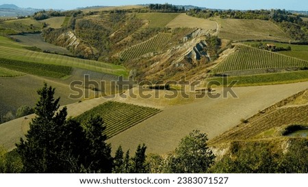 Vineyards. Autumn panorama of the wine cultivations on the hills of Faenza. Province of Ravenna. Emilia Romagna, Italy