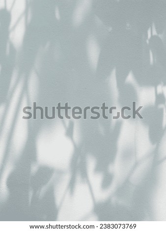 shadow of the leaves on white concrete wall texture