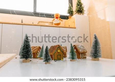 Gingerbread  houyses town front view