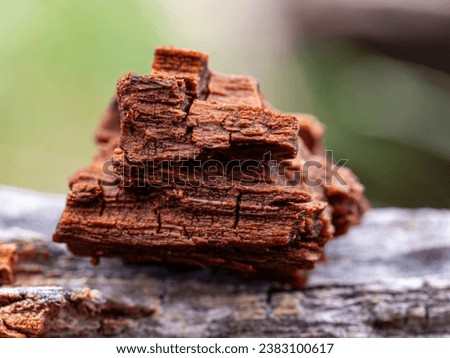 Piece of reddish brown wood