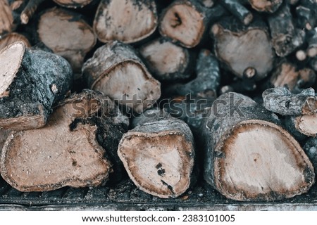 close up old wooden log texture background for industrial, industry and home design exterior business technology concept