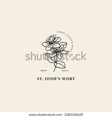 Line art St. John's wort illustration Royalty-Free Stock Photo #2383104629