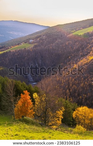 Skogbygda in Innlandet beautiful autumn colors, Norway