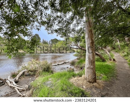 Luke Pen Walk trail alongside Kalgan Riverbank in Western Australia