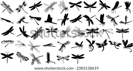 Dragonfly vector For Print, Dragonfly Clipart, Dragonfly vector Illustration Royalty-Free Stock Photo #2383138619