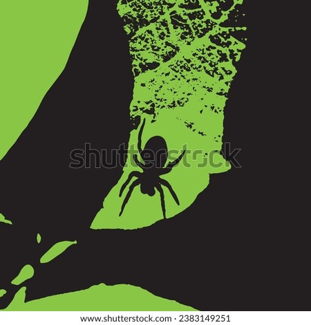 Spider on leaf closeup silhouette