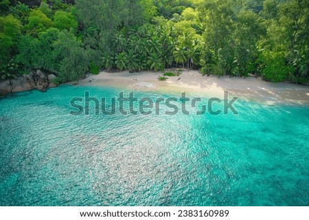 Drone bird eye view at Anse solei beach, white sandy beach, turquoise and calm sea and trees, Mahe Seychelles 4