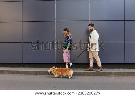 happy and stylish couple walking with corgi dog near modern grey building, animal companions Royalty-Free Stock Photo #2383200279
