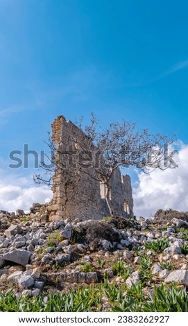 Historical artifact ruin and the tree in front of it under the blue sky. Can be used for vertical designs. Remains from early Christian history. Turkey, Mersin.