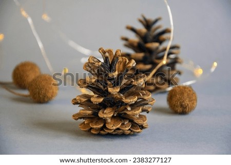 Pine cones, dry sycamore seeds and yellow lights of Christmas garland on gray background. Close-up. Selective focus.