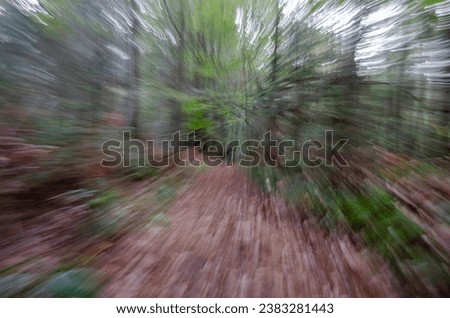 Bokeh out of focus picture of a dark person standing in the middle of the forest