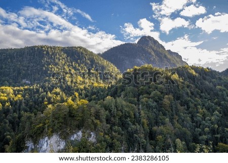 The mountains and forests of the Alps in autumn