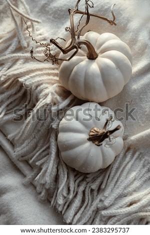 Autumn composition. Autumn setting with white pumpkins, autumn leaves. Thanksgiving Day concept. candinavian, hygge, cozy home concept, monochrome, abstract
