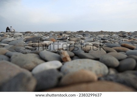 back, rear view of Senior couple sitting on stone pebbles beach looking at distance. pensioner pair sitting on Black Sea coast. Senior mature couple from behind on summer or autumn beach.