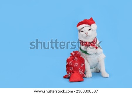 White Cat wearing Santa hat. Christmas concept. Holiday background. Santa's helper. Merry Christmas. Xmas. Santa cat. Happy New Year. Greeting card. Shopping sale concept. Christmas presents.