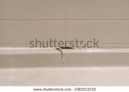 white shower stall with peeling caulking and mold growing underneath in a bathroom for unhealthy concept Royalty-Free Stock Photo #2383312533