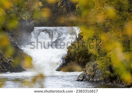 Well known Jyrävä waterfall during autumn foliage at Kitkajoki river in Oulanka national park near Kuusamo, Northern Finland 