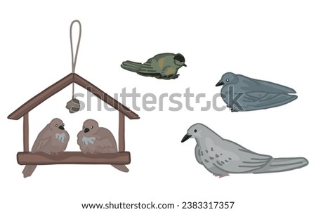 Set of wild birds in winter. Cartoon doodles of pigeons, titmouse, sparrows. Hand drawn vector illustrations. Contemporary clip arts collection isolated on white.