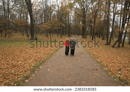 Walk in Gatchina Park in autumn.
