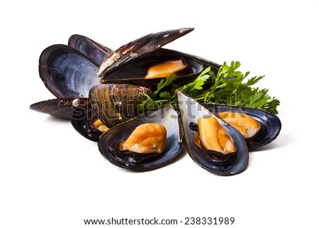 mussels isolated on white background Royalty-Free Stock Photo #238331989