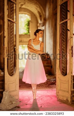 Elegant female ballerina dancer wearing ballet skirt and pointe shoes posing while showing incredible physical abilities, grace and precision and standing at the rustic doors. Copy space.
